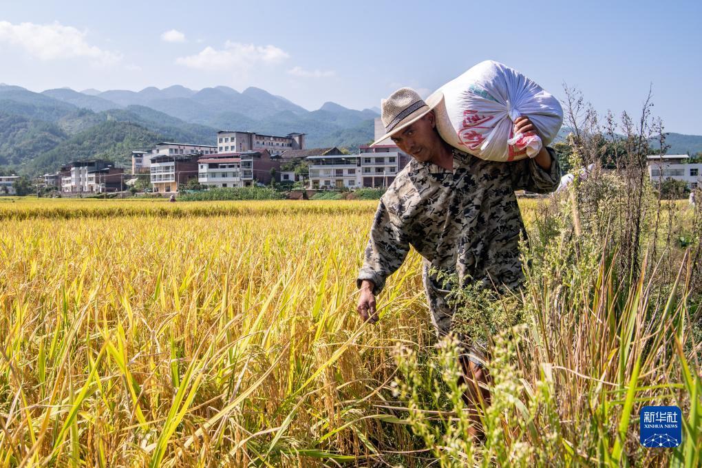 苹果x怎么玩不了pt游戏
